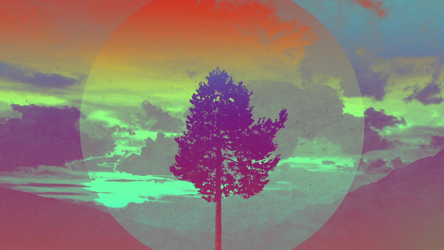 Lonely Tree Vista Still