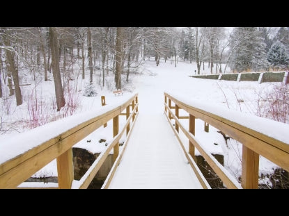 Snow Winter Background 37