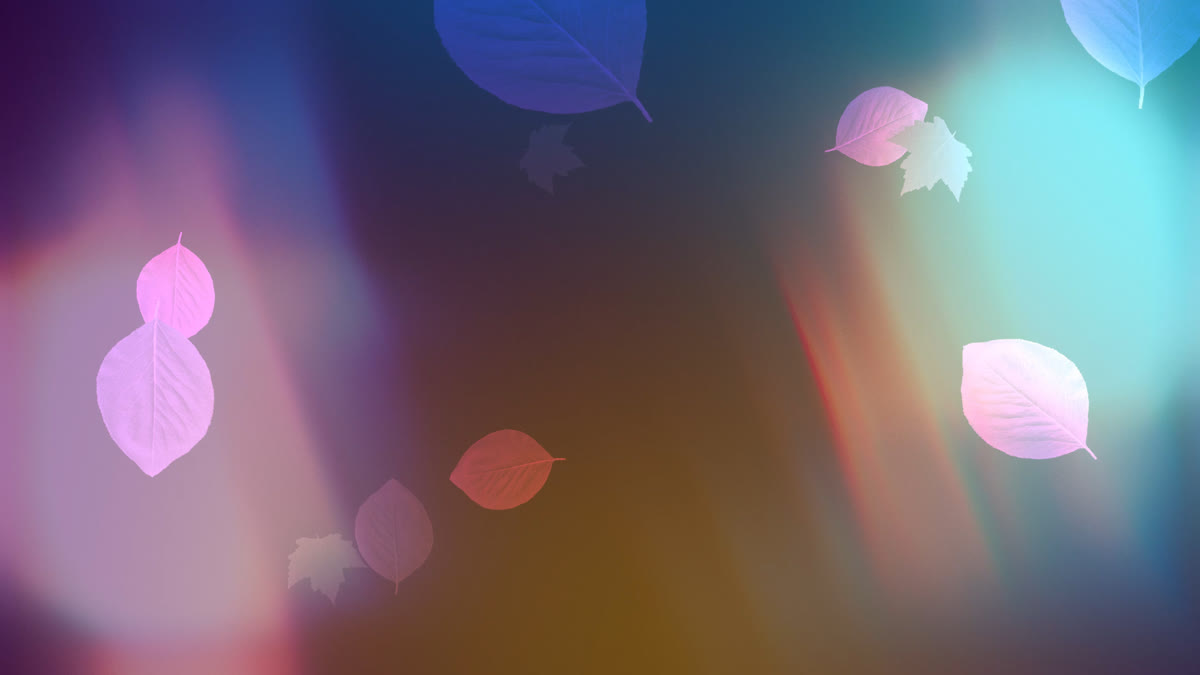 Light Leaves 03