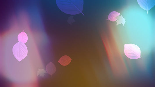 Light Leaves 03
