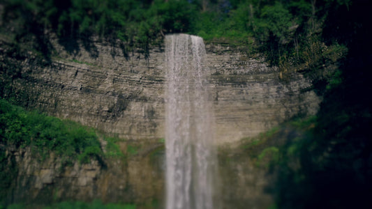 Nature'S Force 11 Still