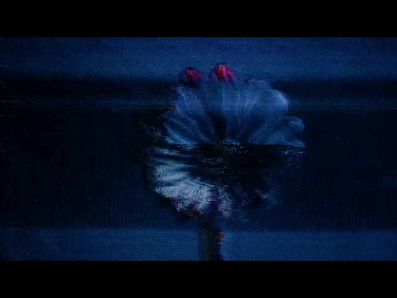 Crt Flowers 4
