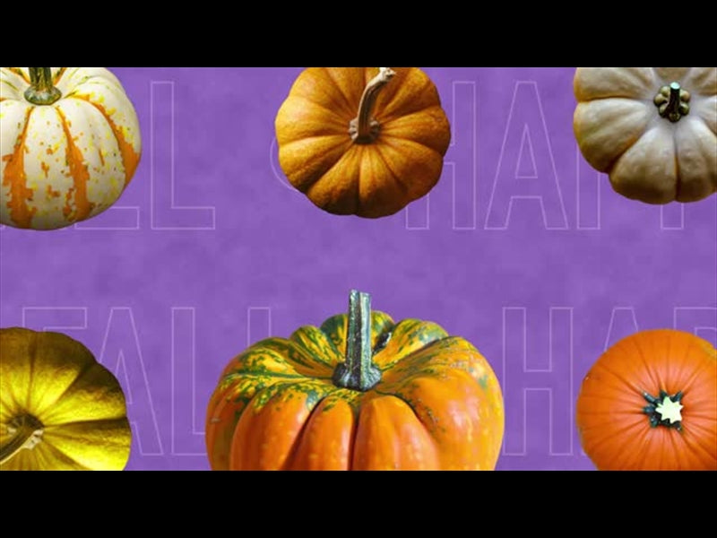Multi Pumpkin 1