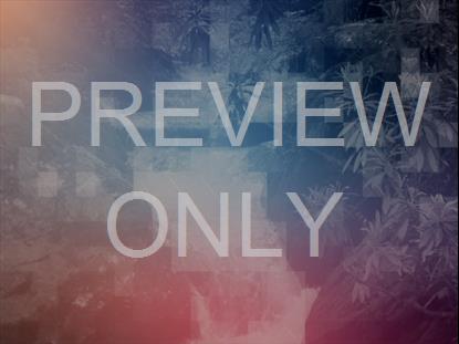 River Wild 5 Remix Still