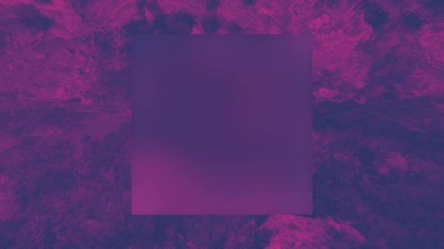 N Z Mashup 5 Alt