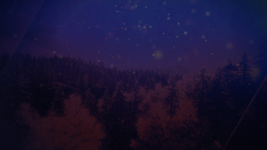 Floating Lights Still 3