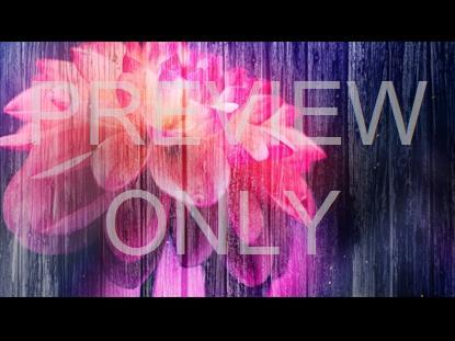 Floral Fusion 4 Graphic