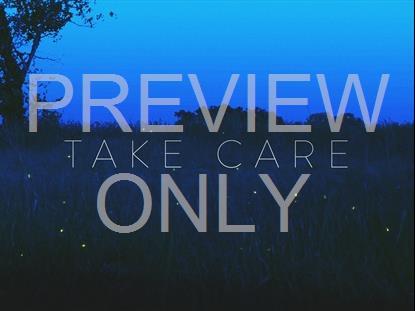 Fireflies Take Care Title 2