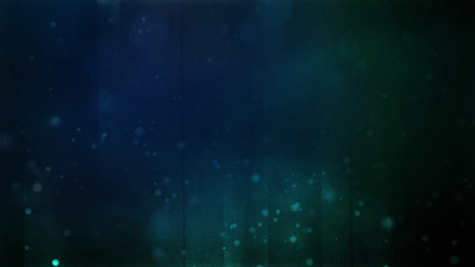 Arctic Dream 2 Still