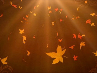 Fall Background 2