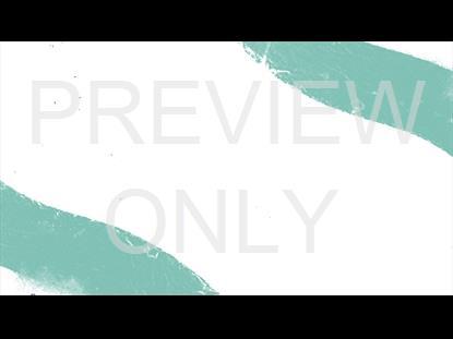 Dual Stripes White Teal
