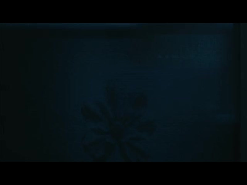Crt Flowers 11