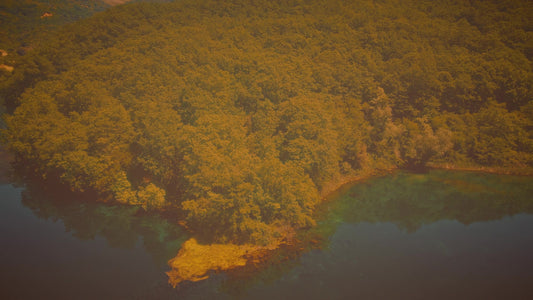 Blue Eye 3 Vintage Still