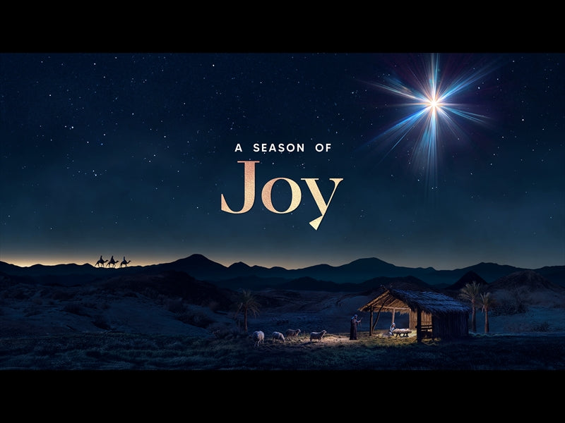 Christmas Promise Joy