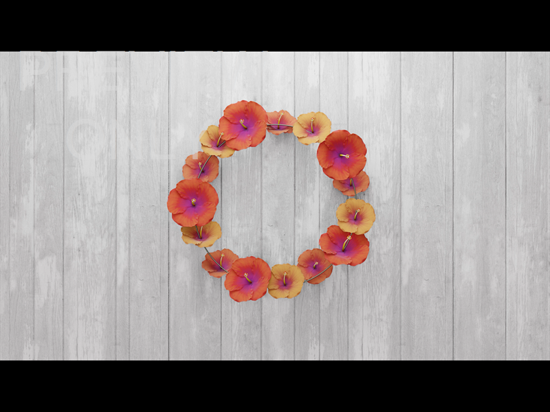 Summer Wreath Still 22