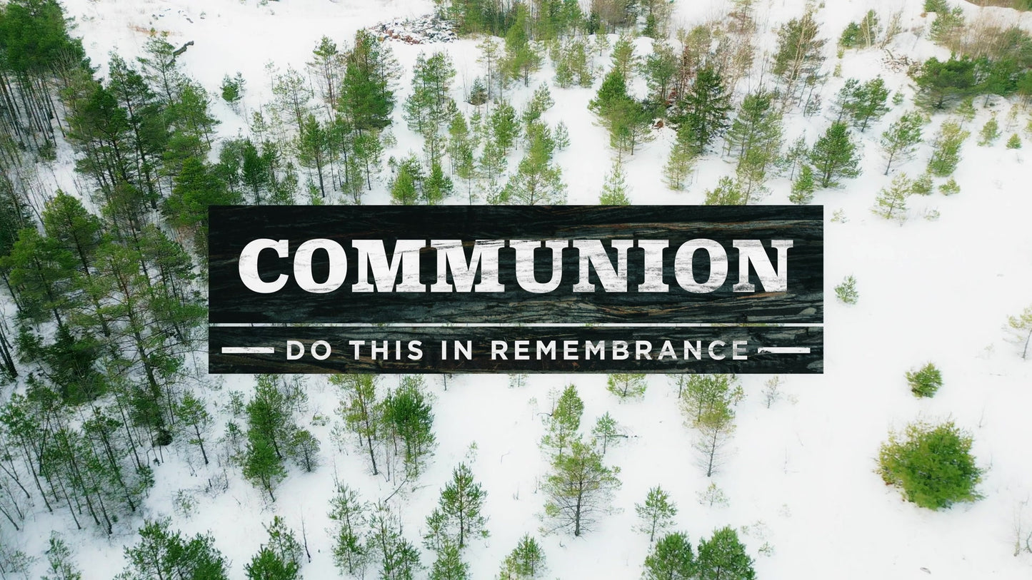 Winter Woods Still Communion