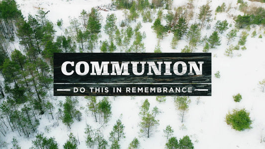 Winter Woods Still Communion