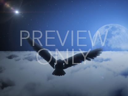 Eagle Soaring Clouds Night Still