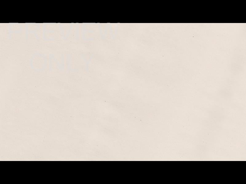 Vintage Christmas Bonus Still 7