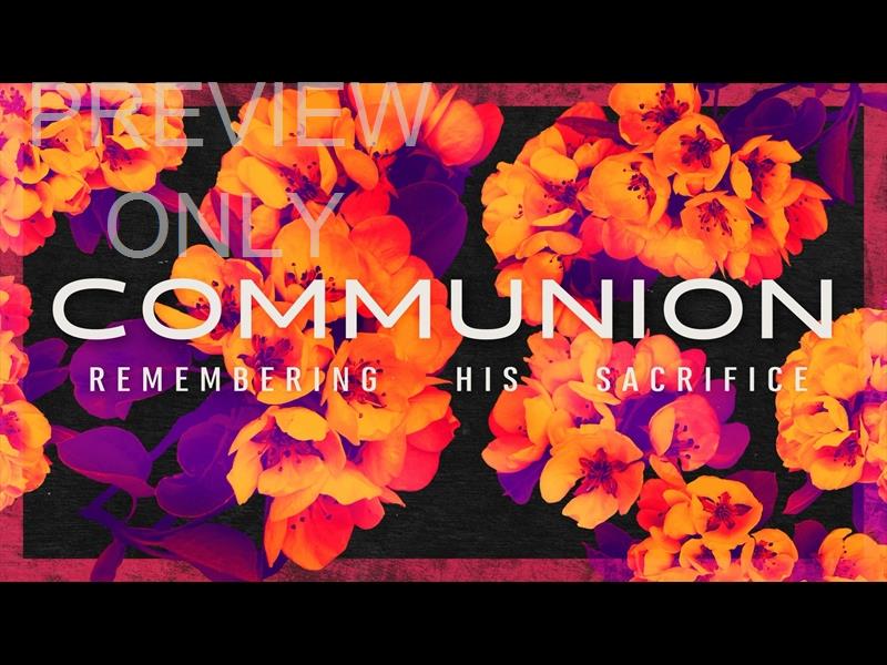 Bold Blooms Communion Still