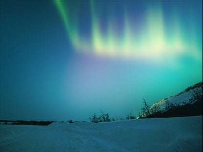 Aurora 8