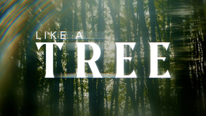 Like A Tree Collection