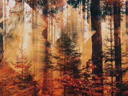 Rustic Autumn 5