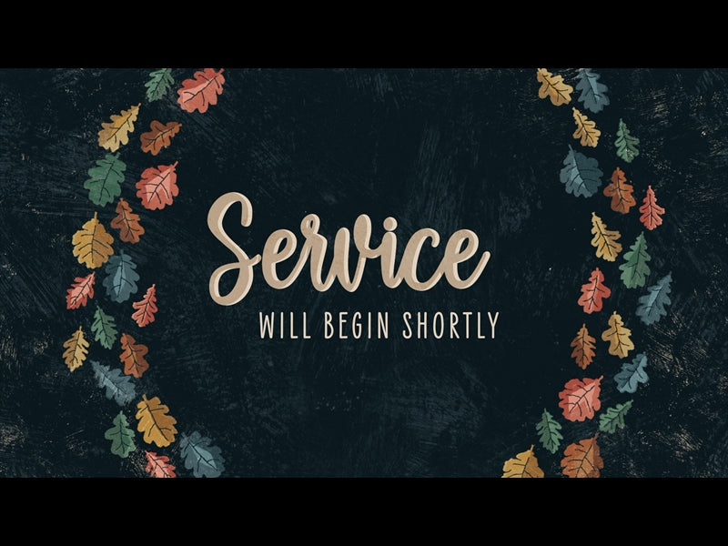 Happy Leaves Service