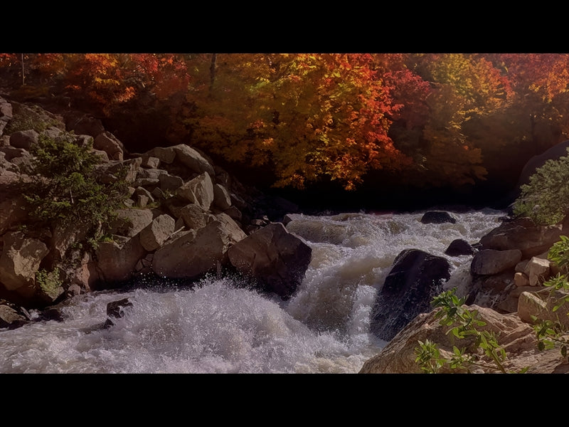 Northwest Fall 8
