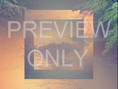 River Wild 2 Remix Still