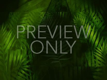 Palm Leaf 3 Still