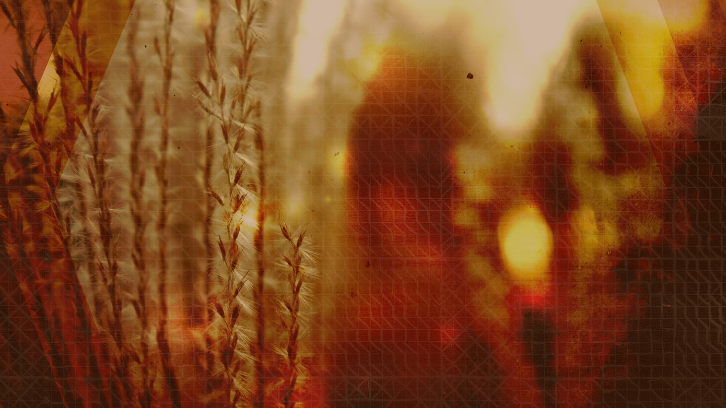 Autumn Grid Still