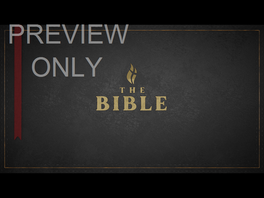 Title: The Bible - Black Still