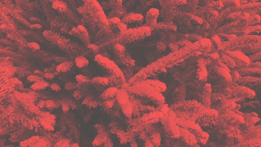 Modern Winter Trees 01