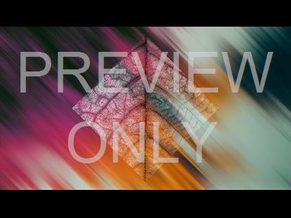 In The Fall 3 Graphic