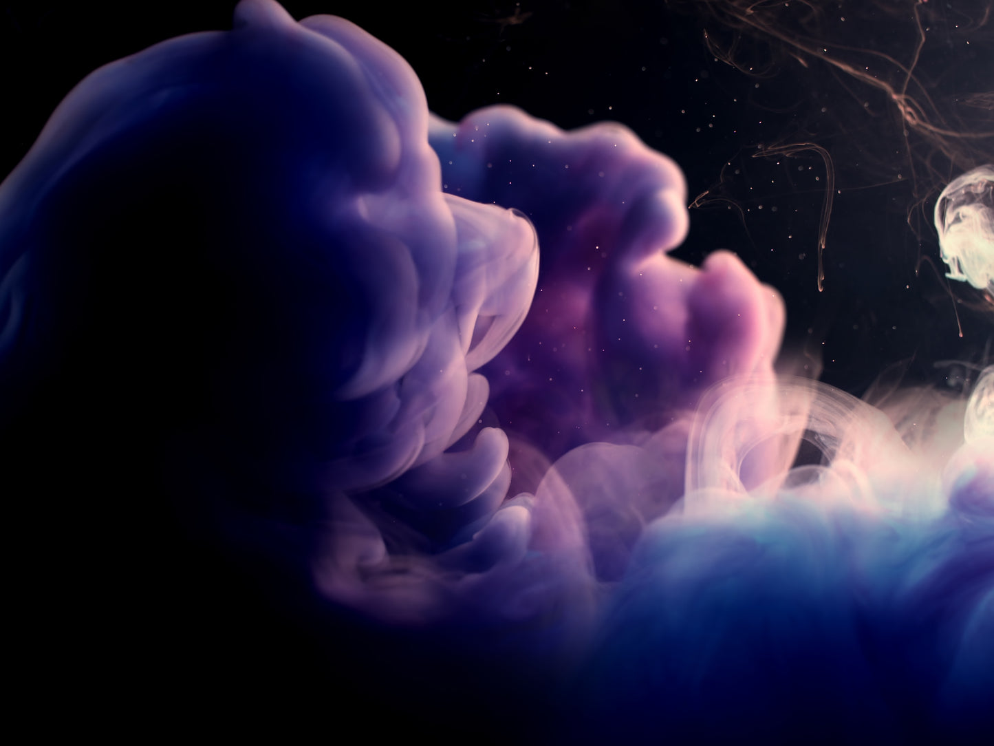 Red Delayed Purple (Long Play)