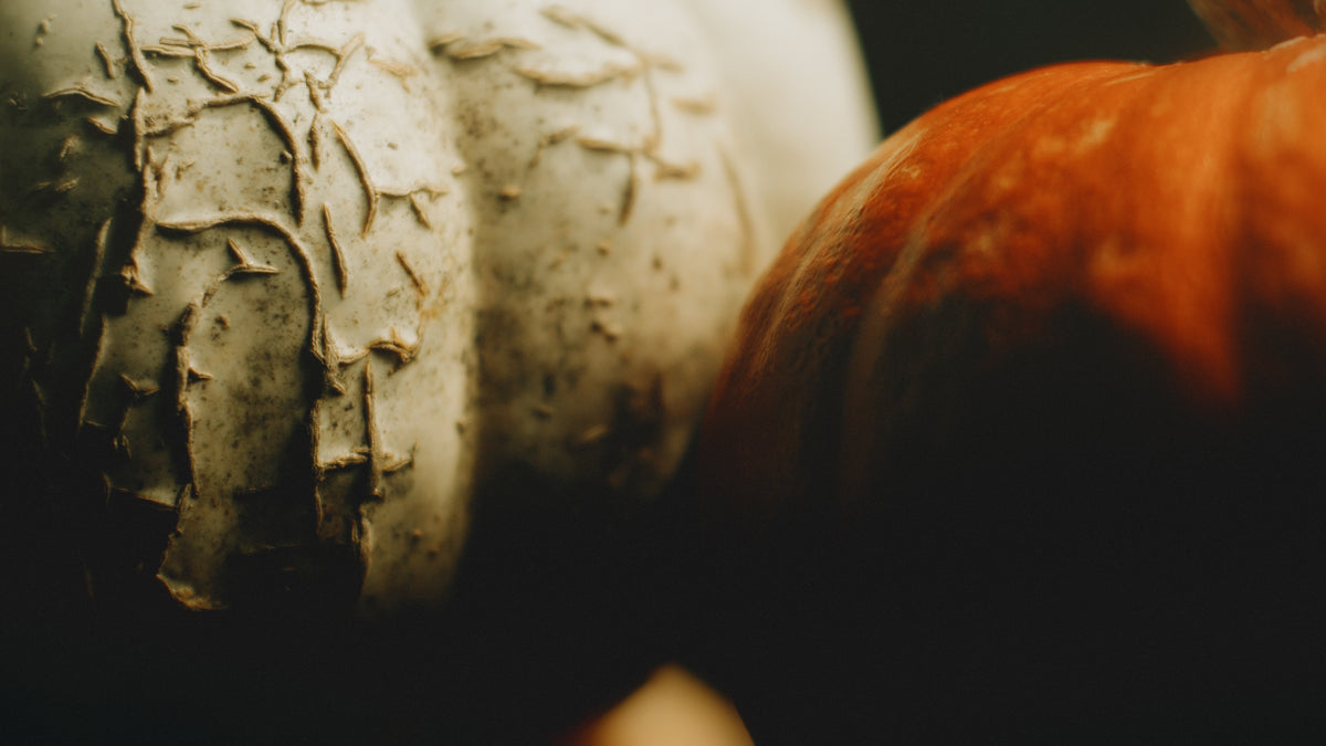 Heirloom Still 02