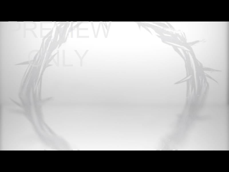 Crown Of Thorns Still 02