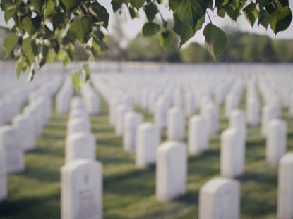 Military Cemetery, Leaves Wind
