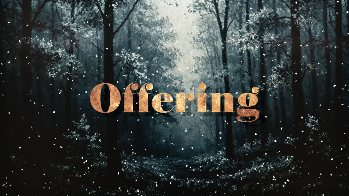 Snow Day Offering