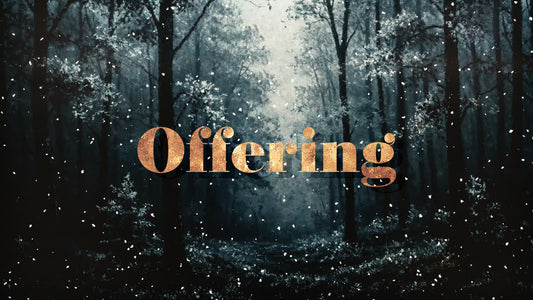 Snow Day Offering