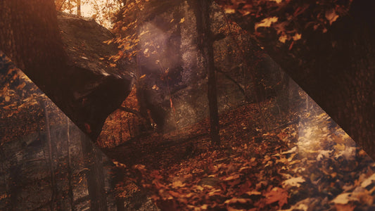 Autumn Dream Path Alt Still
