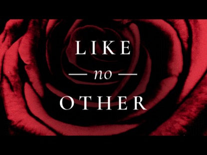 Like No Other