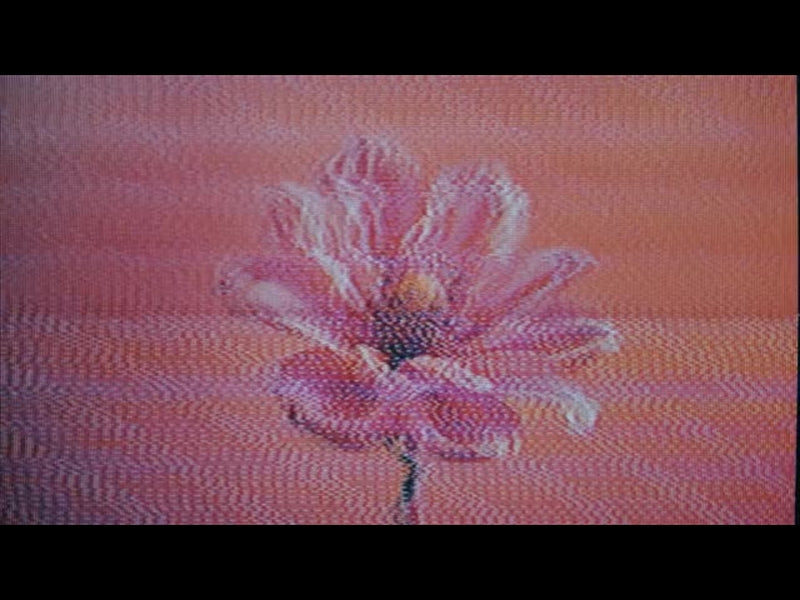 Crt Flowers 8