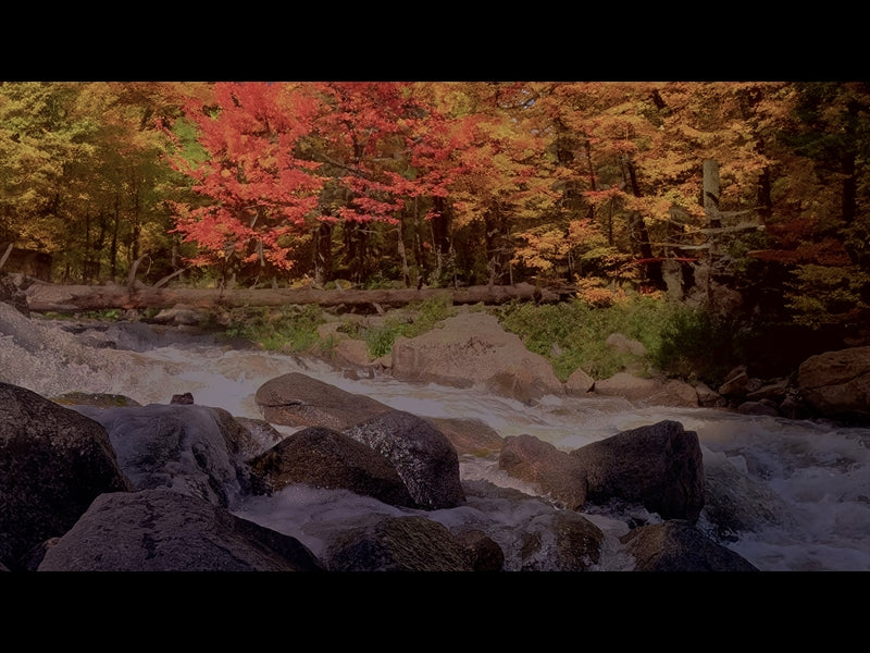 Northwest Fall 12