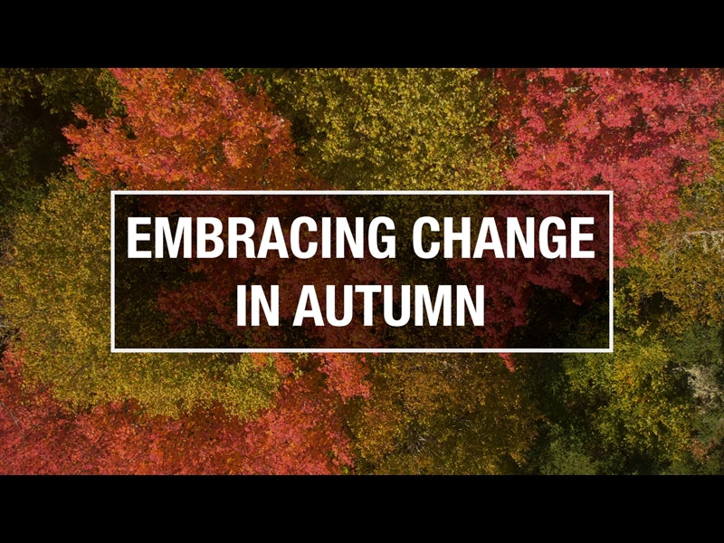 Embracing Change In Autumn
