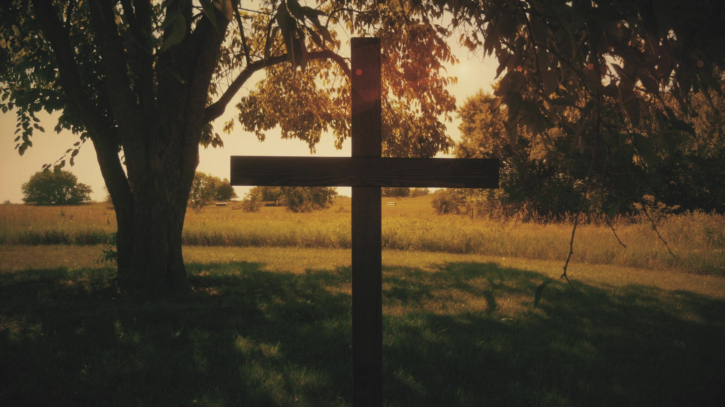 Cross 5 Still