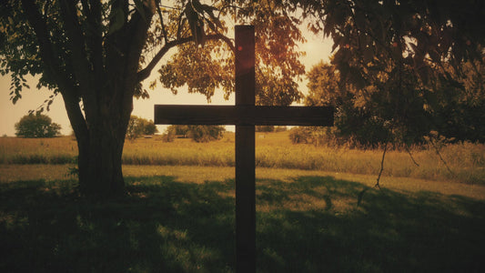 Cross 5 Still
