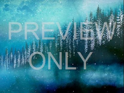 Christmas Woods 3 Still