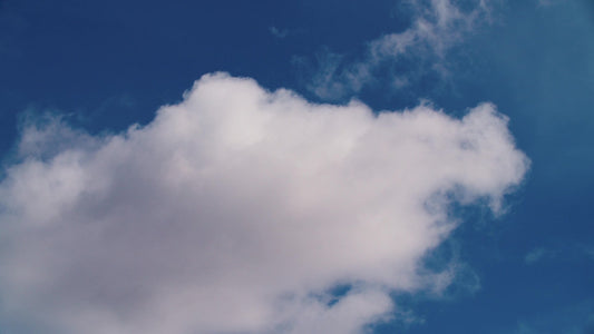 Spring Nature Motion 04